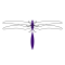 elena_lichtl_logo_frei